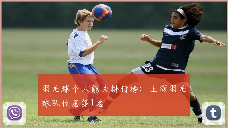 羽毛球个人能力排行榜：上海羽毛球队位居第1名