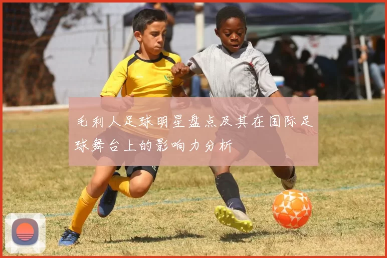 毛利人足球明星盘点及其在国际足球舞台上的影响力分析