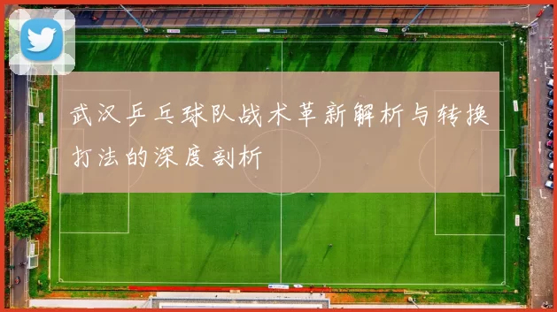 武汉乒乓球队战术革新解析与转换打法的深度剖析