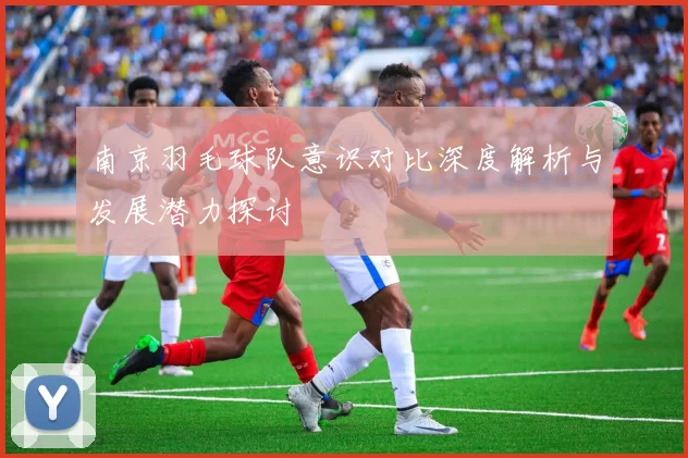 南京羽毛球队意识对比深度解析与发展潜力探讨