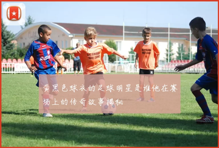 黄黑色球衣的足球明星是谁他在赛场上的传奇故事揭秘