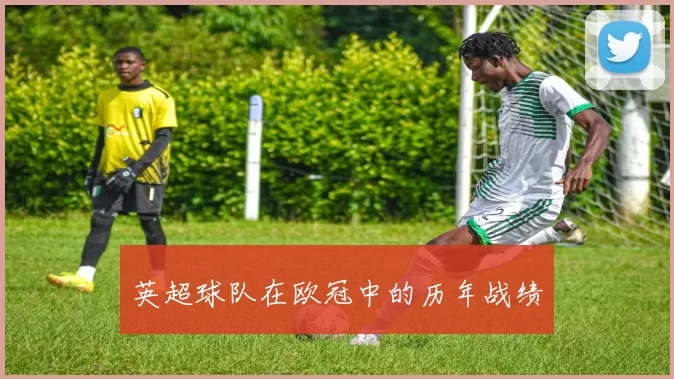 英超球队在欧冠中的历年战绩