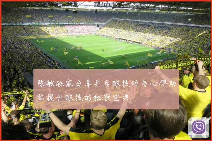 陈敏独家分享乒乓球技巧与心得助你提升球技的秘密宝典