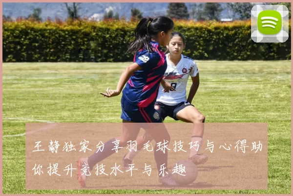 王静独家分享羽毛球技巧与心得助你提升竞技水平与乐趣