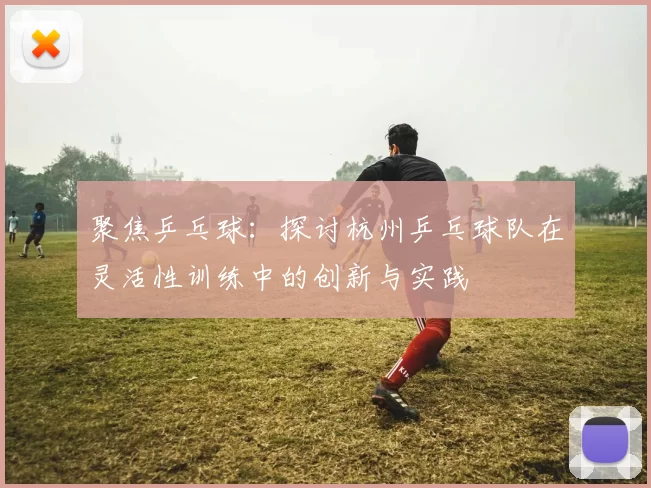 聚焦乒乓球：探讨杭州乒乓球队在灵活性训练中的创新与实践