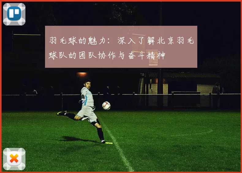 羽毛球的魅力：深入了解北京羽毛球队的团队协作与奋斗精神