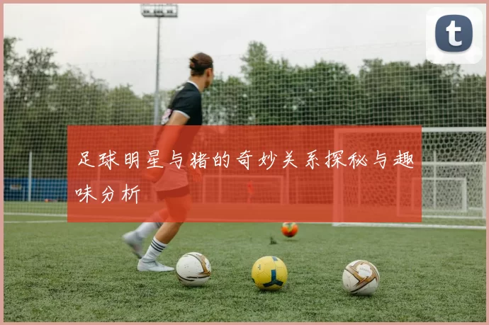足球明星与猪的奇妙关系探秘与趣味分析