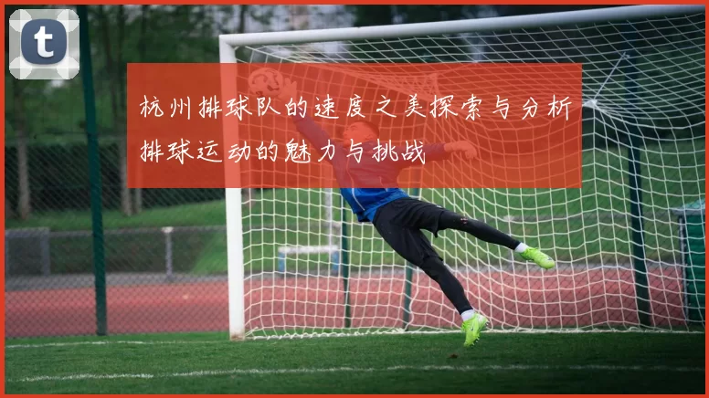 杭州排球队的速度之美探索与分析排球运动的魅力与挑战