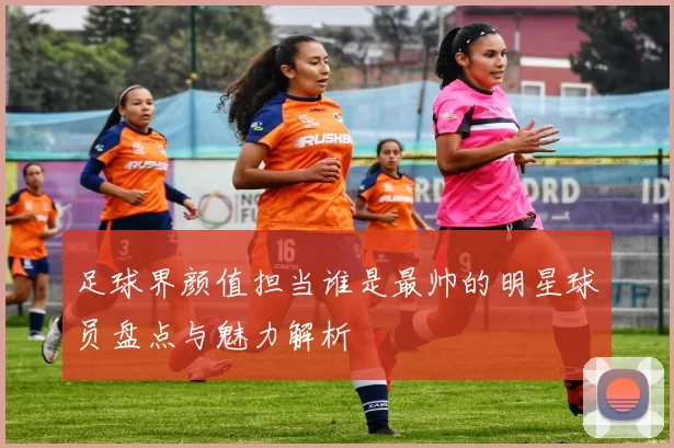 足球界颜值担当谁是最帅的明星球员盘点与魅力解析
