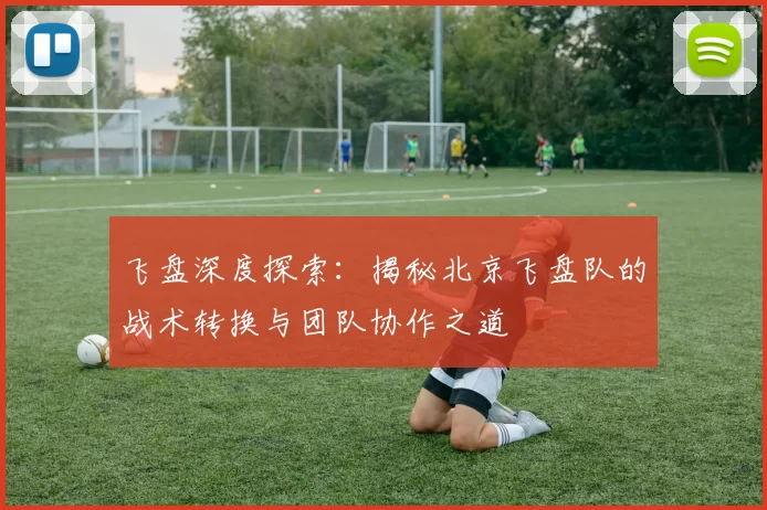 飞盘深度探索：揭秘北京飞盘队的战术转换与团队协作之道