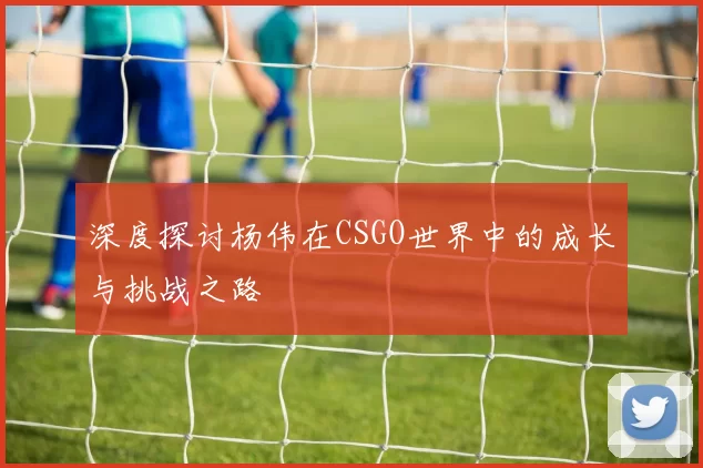 深度探讨杨伟在CSGO世界中的成长与挑战之路