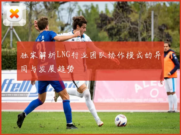 独家解析LNG行业团队协作模式的异同与发展趋势