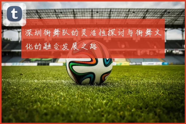 深圳街舞队的灵活性探讨与街舞文化的融合发展之路