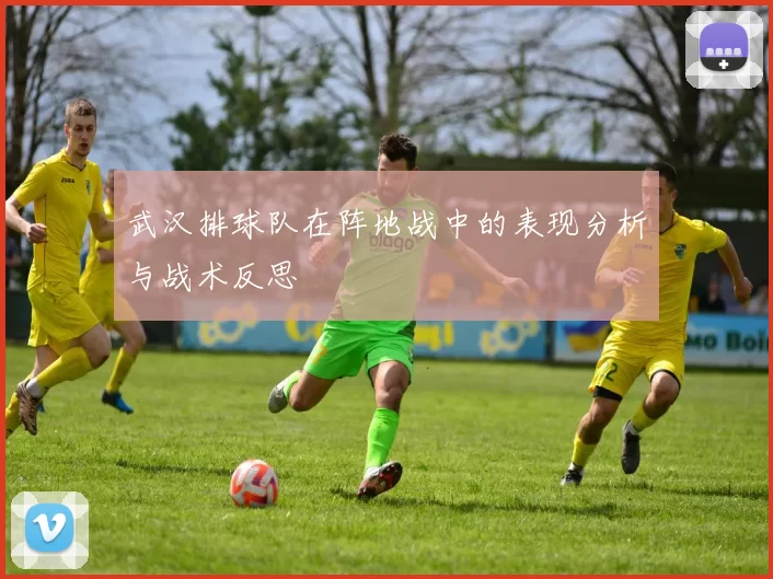 武汉排球队在阵地战中的表现分析与战术反思