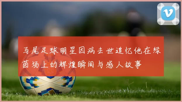 马尾足球明星因病去世追忆他在绿茵场上的辉煌瞬间与感人故事