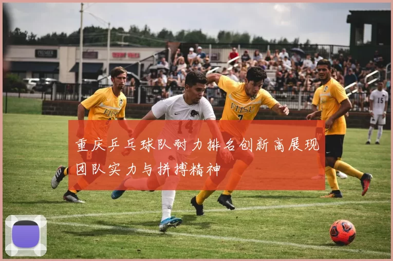 重庆乒乓球队耐力排名创新高展现团队实力与拼搏精神