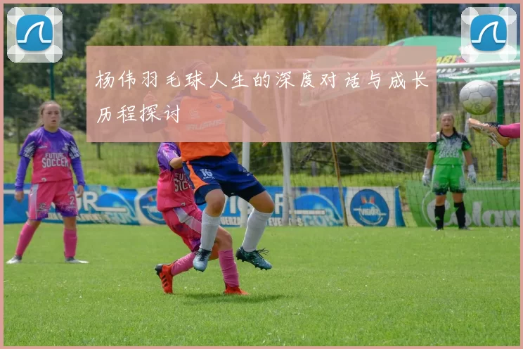 杨伟羽毛球人生的深度对话与成长历程探讨
