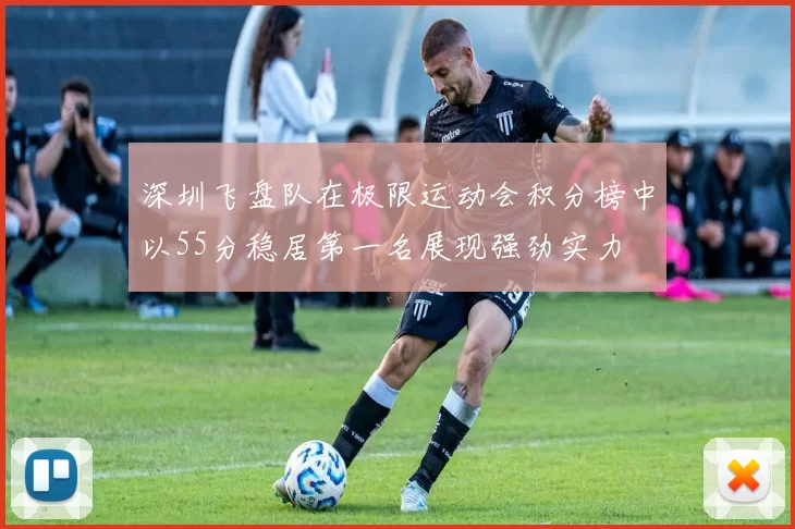 深圳飞盘队在极限运动会积分榜中以55分稳居第一名展现强劲实力