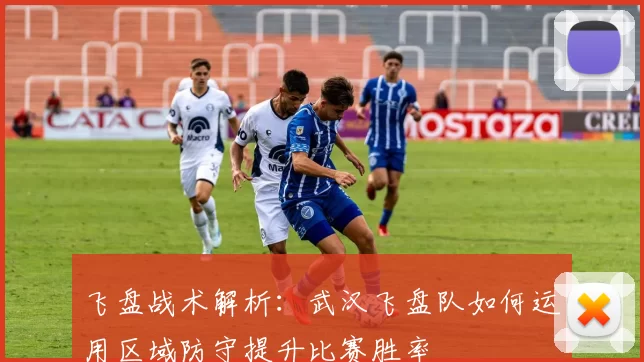 飞盘战术解析：武汉飞盘队如何运用区域防守提升比赛胜率