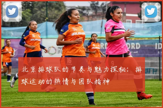 北京排球队的节奏与魅力探秘：排球运动的热情与团队精神
