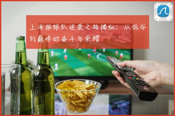 上海排球队逆袭之路揭秘：从低谷到巅峰的奋斗与荣耀
